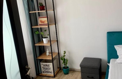Bistrita Apartment | Nosen Asime Apartment