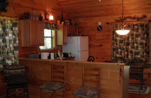 Choestoe Cabin | Nottely River Cabin- Fishing-Vogel St. ParknUnion County, GA STR License#004814