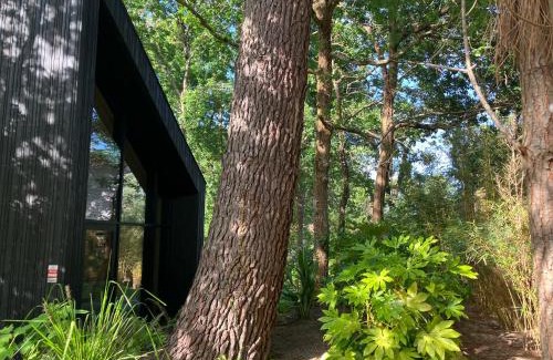 Biscarrosse House | NOUVEAU - Ecolodge 'Calme et Nature' - Avec Piscine au Golf-Lac de Biscarrosse - Couchage 2 personnes