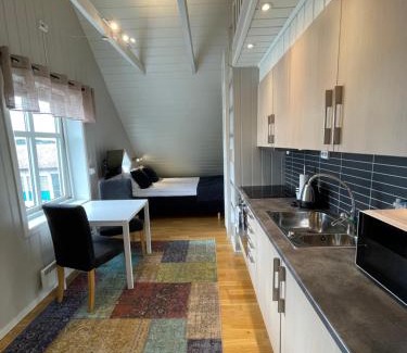 Narvik Apartment | Novatind - Studio apartment with free parking