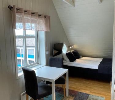 Narvik Apartment | Novatind - Studio apartment with free parking