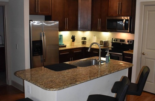 Astrodome Apartment | NRG & Medical Center, 2 bed/2bath w/Courtyard View - King Beds