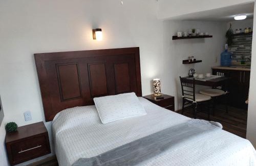 Zacatecas Centro Apartment | Nuevo Depa #7 tipo loft en Planta Alta en Centro Histórico