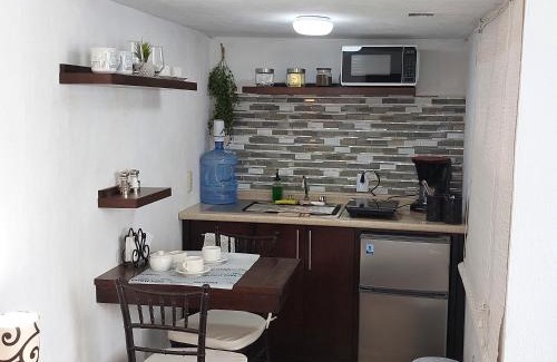 Zacatecas Centro Apartment | Nuevo Depa #7 tipo loft en Planta Alta en Centro Histórico
