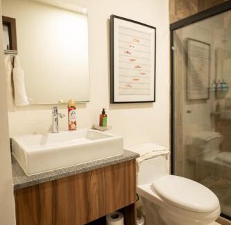 Zapopan Apartment | Nuevo Departamento Céntrico con Alberca y Parking