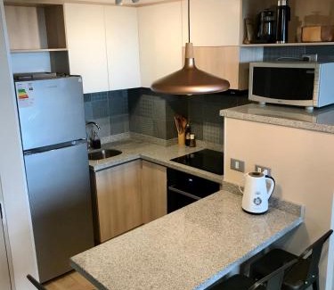 Vina del Mar Apartment | Nuevo Depto Viña del Mar, Canal Beagle