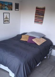 Centro Apartment | Nuevo Piso Céntrico con Vista al lago 2 o 3 personas 1 mascota OK