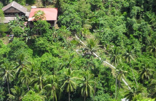 Loboc Hotel | Nuts Huts
