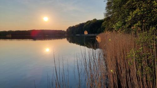 Sierakow Resort | Ośrodek Eldorado - domki letniskowe