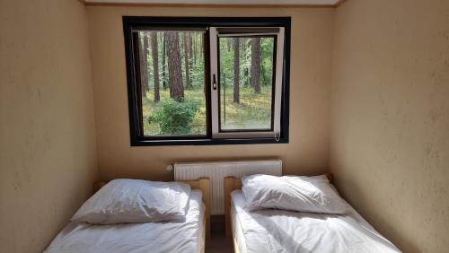 Lubusz Province Resort | Ośrodek La La Las - domki letniskowe w lesie nad jeziorem