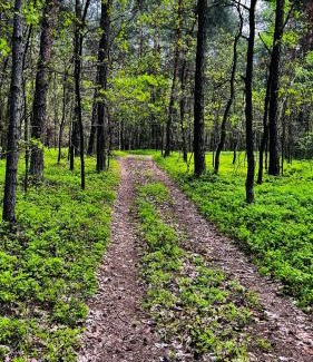 gmina Debowa Kłoda Resort | Ośrodek Wypoczynkowy KROPELKA