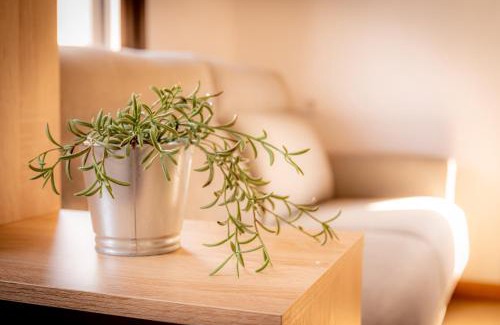 Palas de Rei Apartment | O Lar do Camiñante