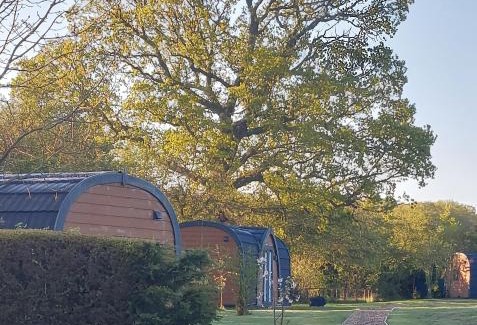 Beccles Cabin | Oak Lodge Pods