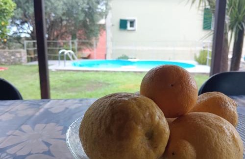 Nervi Apartment | Oasi a Sant'Ilario
