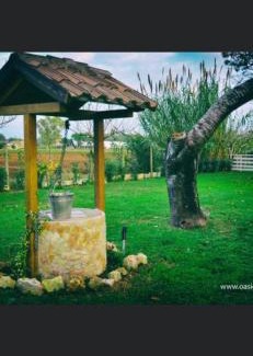 Pontinia Bed & Breakfast | Oasi di Francesca B&B