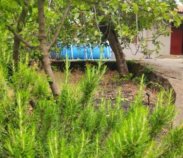 Piedimonte Etneo Villa | Oasi ristoro dell' Etna