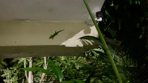Mahebourg House | Oasis 1