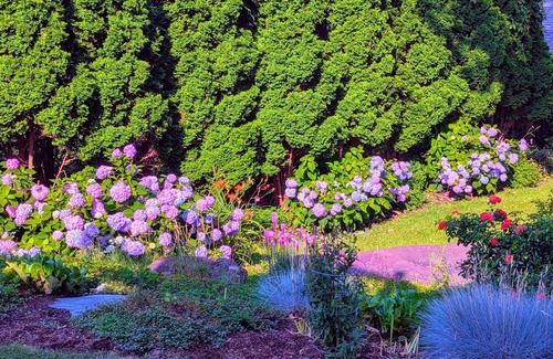 South End House | Oasis in the Hill: 3 Story Home w/Yoga room & Panoramic Lake & Mountain Views