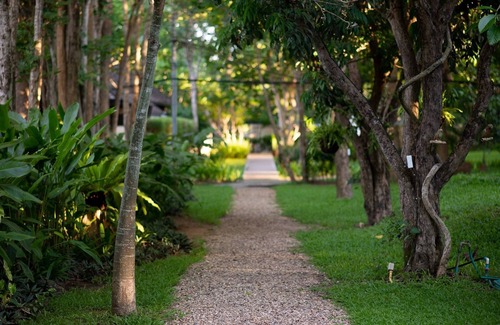 Nong Kwai Resort | Oasis in the jungle in Chiang Mai Thailand.