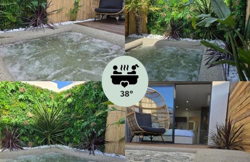 Perols Apartment | Oasis SpaLagon Chauffé 37 climatisé Arena Parc Expo