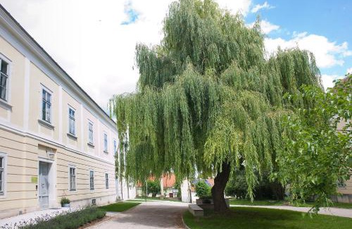 Unternalb House | OBENauf in Unternalb