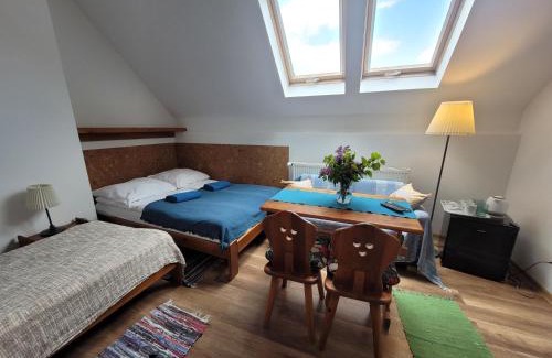 Cisna Bed & Breakfast | Oberża Pod Kudłatym Aniołem