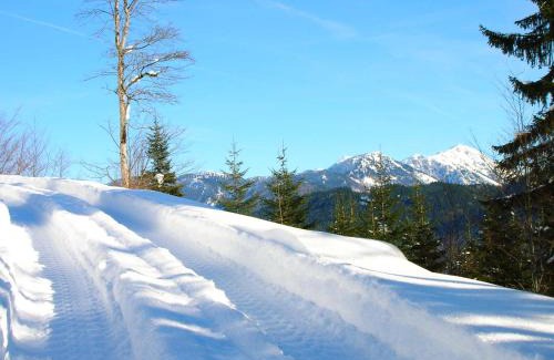Goestling an der Ybbs House | Oberbach