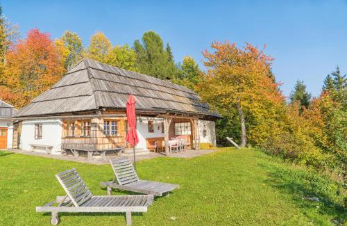 Eisenkappel-Vellach Ski Chalet | Obiralmhütte Meierhof
