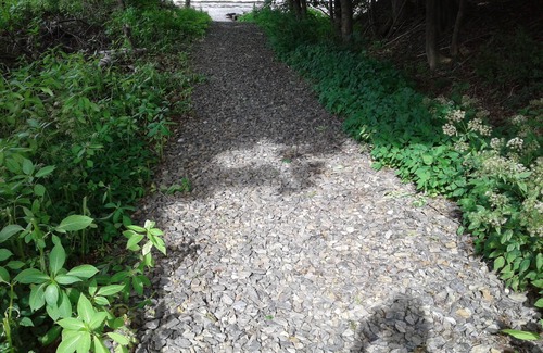 Owls Head House | Ocean Avenue Beach House - Steps to Sandy Beach - Close to Rockland's Main St.