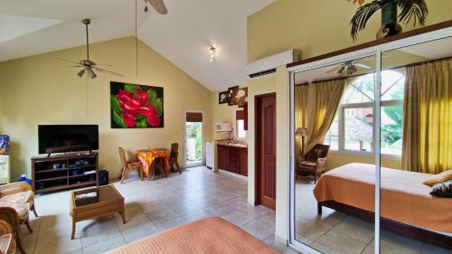 Cabarete Apartment | Ocean Dream 1st See Line Studio