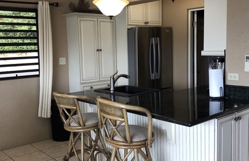 Frydendal Condo | Ocean Front Paradise with Stunning Views!