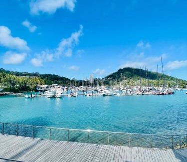 Hamilton Island House | Ocean View Island 2-bedroom Townhouse Buggy Valet service extra Queen air bed