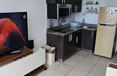 Boca Corona Condo | Ocean view 2-bedroom condo with pool, WiFi in fabulous San Carlos District