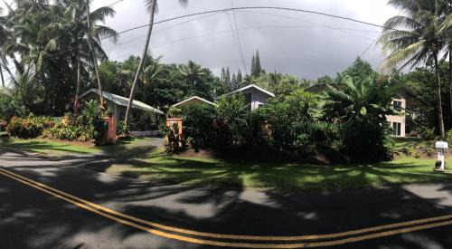 Kehena Beach Estates House | Oceanfront Cottage Near the Kalapana Lava Flows