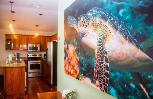 Antoneys Cay House | Oceanfront! Diving, Snorkeling, Kayaking on site. Turtle Casa PENTHOUSE SUITE