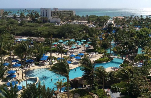Palm Beach Resort | Oceanside - Studio - Marriott's Aruba Surf Club - Full Resort Access
