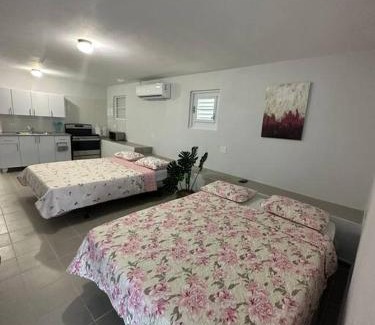 Guayama Apartment | OceanView 2