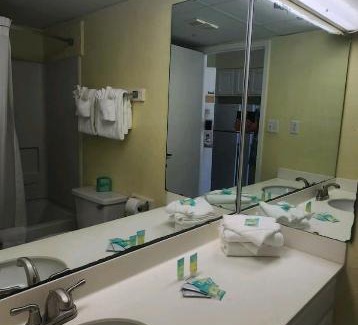 Myrtle Beach Apartment | Oceanview Efficiency DW1110