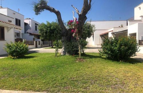 Roca Vecchia Apartment | Odegos appartamento Matilda