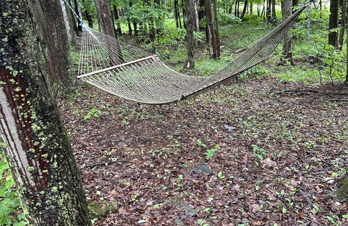 Morton Cabin | Off the grid private cabin on 40 acres! Peace and tranquility at its finest.