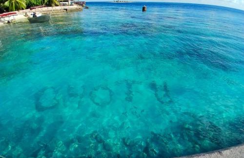 Rangiroa House | Ohotu-Rangiroa house
