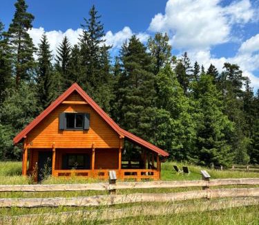 Polanica-Zdroj Ski Chalet | Okno na las