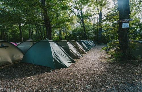 Thalkirchen Other | Oktoberfest on a Budget Munich