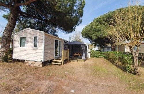 La Cotiniere Other | Oléron La Cotinière Camping Nature & Calme, Piscine, Plage à 150m