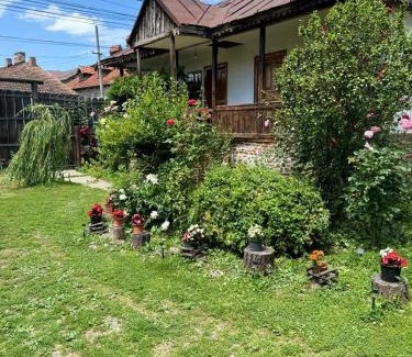 Curtea De Arges House | Old Court