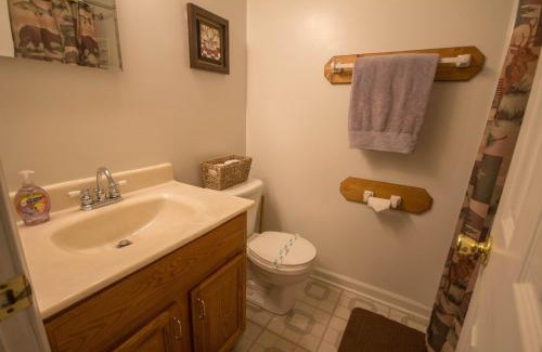 Luray House | Old Wagon Lodge In Shenandoah Woods - Starlink Satellite Wi-Fi