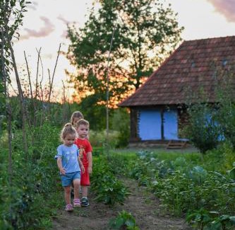 Negresti-Oas House | Old Wooden Houses in Oaș Land - Căsuțele din Toag