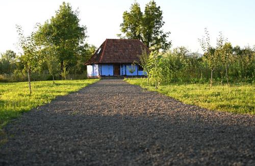 Negresti-Oas House | Old Wooden Houses in Oaș Land - Căsuțele din Toag