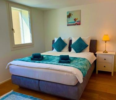 Unterseen Apartment | Oldtown central - amazing views
