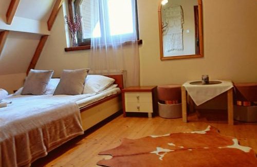 Zakopane House | Oleksandra Protsenko "Oleńka" Willa Asieńka